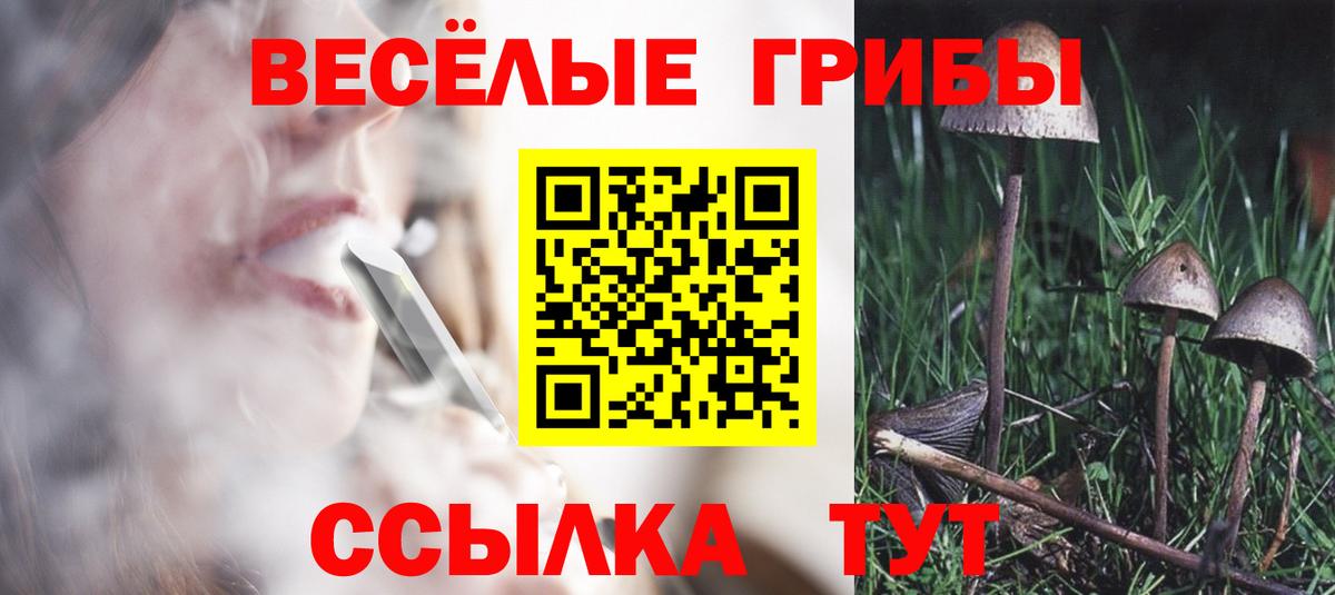 Псилоцибиновые грибы Psilocybine cubensis  Вход с VPN  Галлюциногенные грибы прущие грибы  Бердск 
